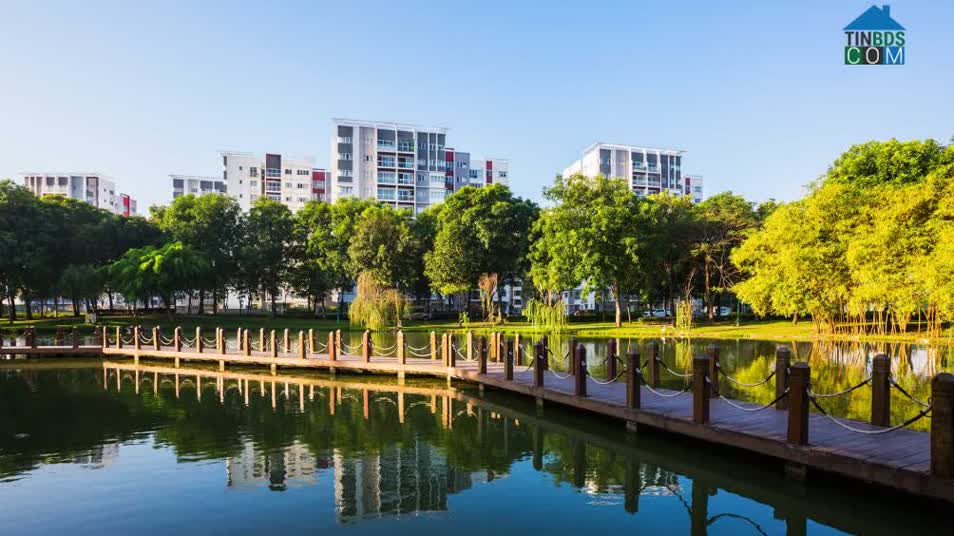 Hồ sinh thái tại Celadon Cty