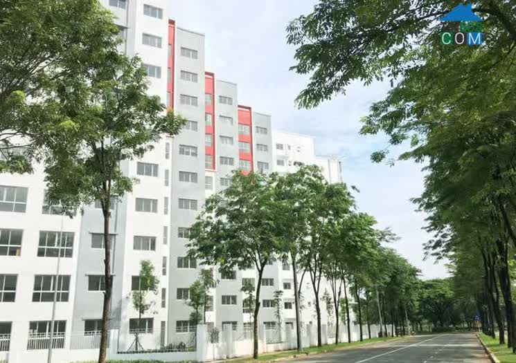 Ảnh Khu Ruby Celadon City Bao Nhiêu Tòa? Cập Nhật Giá Mới Nhất