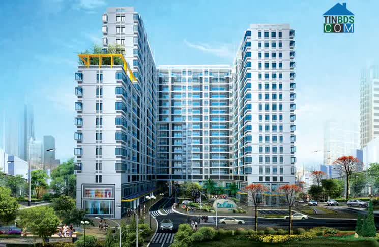 Ảnh Quận Tân Bình Ở Đâu, Giá Bán Và Giá Thuê Căn Hộ Tại Tân Bình