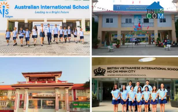 Hệ thống các trường học quanh dự án The Sun Avenue