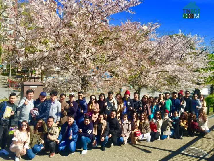Lãnh đạo và nhân viên Kim Oanh Group trong chuyến du lịch Nhật Bản năm 2019