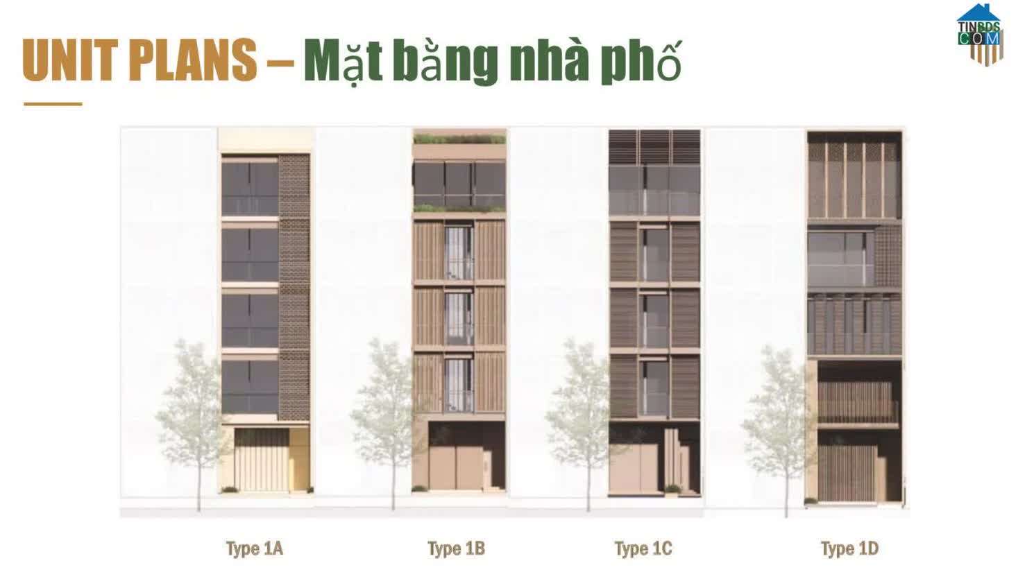 Ảnh Chi Tiết Mặt Bằng The Global City