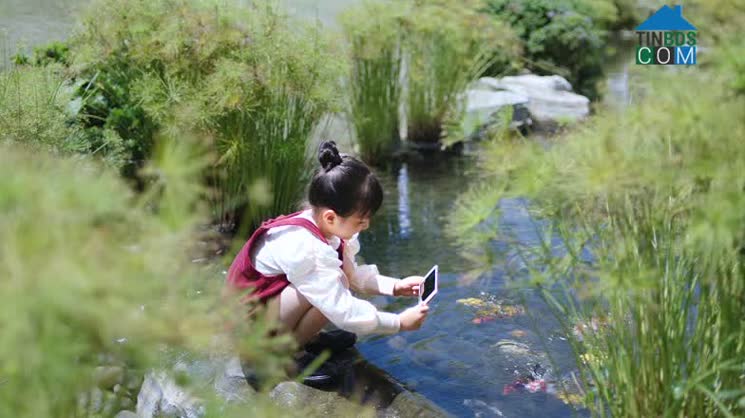 Ảnh Dấu Ấn Nhật Bản Hài Hòa Kiến Trúc Bản Địa Bên Trong Grand Villa, Compound The Aqua