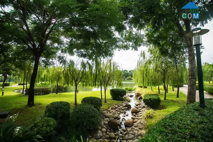 Ảnh Công Viên Celedon City Có Gì Hấp Dẫn?
