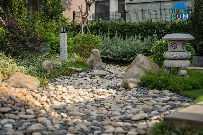 Ảnh Dấu Ấn Nhật Bản Hài Hòa Kiến Trúc Bản Địa Bên Trong Grand Villa, Compound The Aqua