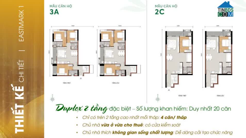 Thiết kế căn hộ Duplex 2 tầng