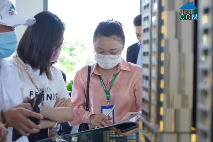 Tình trạng các sàn phá sản, ngừng hoạt động tiếp tục tiếp diễn và gia tăng