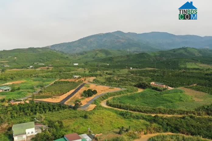 Nhiều nhà đầu tư chịu áp lực tài chính đang rao bán cắt lỗ đất nền tại Lâm Đồng.