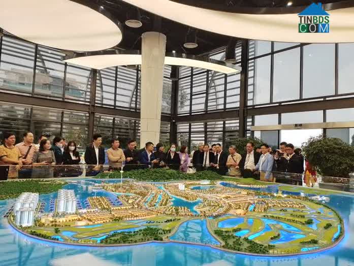 Nhà đầu tư Hà Nội chiếm tỉ lệ lớn trong các giao dịch ở các dự án thị trường tỉnh