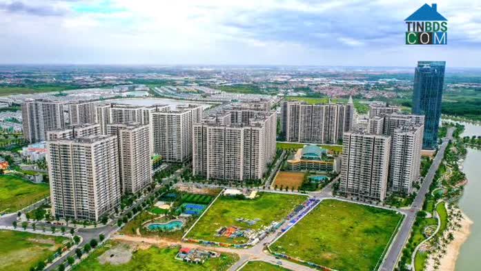 80% giao dịch thành công là các dự án căn hộ chung cư có pháp lý sạch, được phát triển bởi các chủ đầu tư uy tín