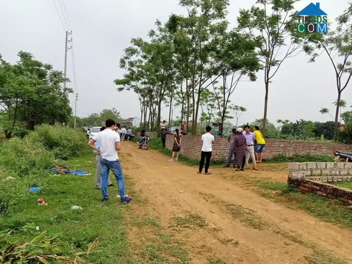 Thị trường đất nền hiện nay vẫn đang ở thế giằng co về giá giữa người bán và người mua.