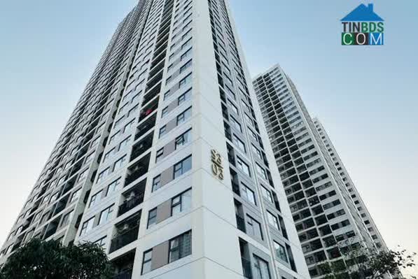 Đầu tư căn hộ đang mang lại tỷ suất lợi nhuận gộp lên tới khoảng 12,5%/năm, gồm phần tăng thêm từ giá bán và lợi suất cho thuê.