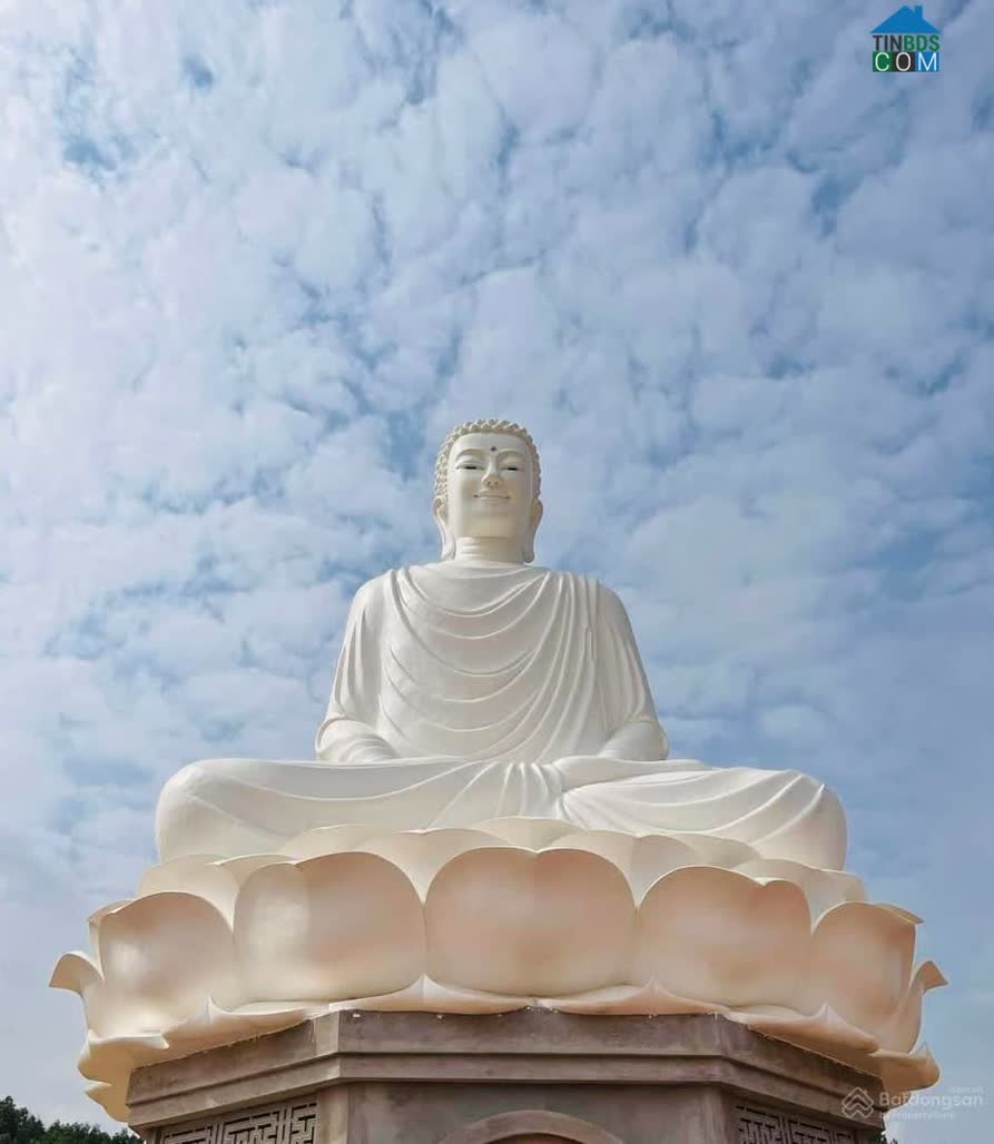 Ảnh Vay BIDV Trả Nợ Ngân Hàng Khác, Giải Pháp Cho Khách Hàng Đang Vay Mua Nhà Lãi Suất Cao