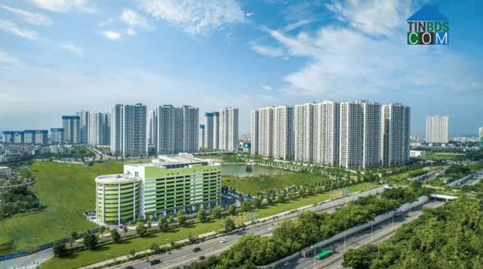 Với từng loại hình, phân khúc bất động sản sẽ có những điểm khác biệt riêng về luật, cần nắm được điều này khi
