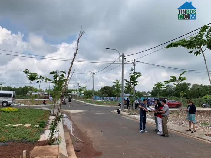 Khi giao dịch BĐS, nhà đầu tư nên chọn các đơn vị môi giới chuyên nghiệp, uy tín trong ngành để tránh rủi ro.