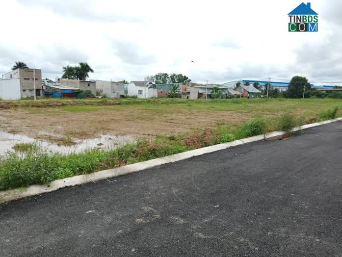 Cần phải có Hội đồng thẩm định đưa ra các chứng cứ, cơ sở, căn cứ trong việc định giá đất