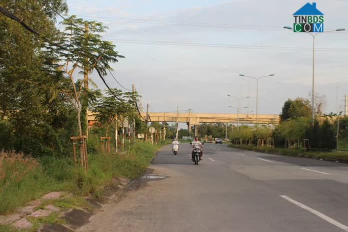 Giá đất Cần Giờ hiện nay vẫn chưa có động thái phục hồi sau thời gian giảm mạnh từ quý 4/2022.