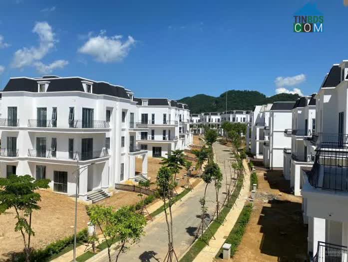 Ở thời điểm hiện tại, mặt bằng giá biệt thự, liền kề Hà Nội đang đi ngang