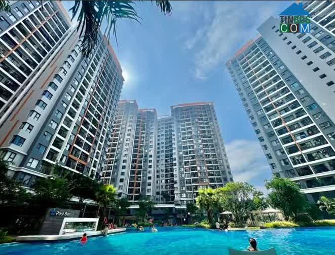 Nhiều nhà đầu tư đang đổ tiền vào căn hộ chung cư để cho thuê, chờ giá tăng rồi bán lại