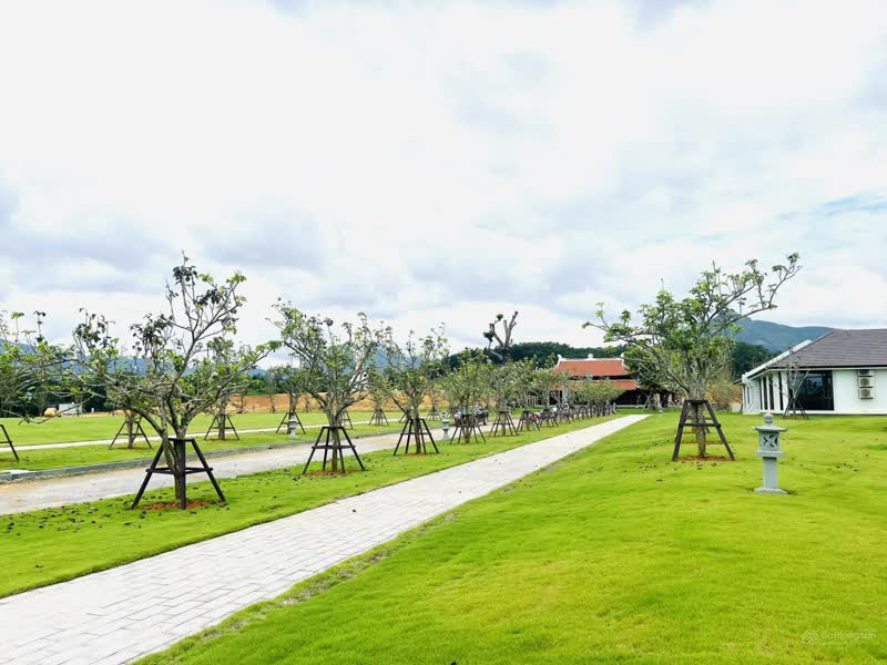 Cơ cấu đầu tư nước ngoài vào Việt Nam năm 2023 phân theo ngành). Ảnh: VNREA
