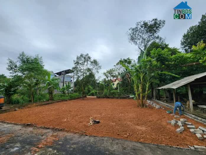 Ảnh Đất Nền Hà Nội: Điểm Sáng Đầu Năm 2024