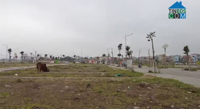 Ảnh Đất Đấu Giá Hà Nội Sôi Động Đầu Năm 2024