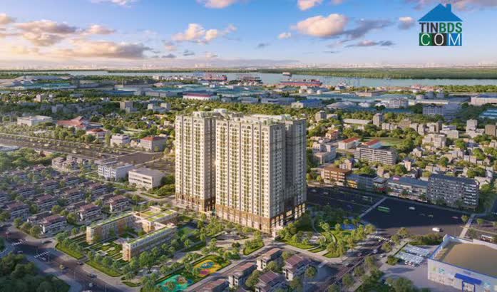Tumys Phú Mỹ tọa lạc tại vị trí đắc địa giữa lòng Phú Mỹ giàu tiềm năng