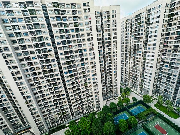 Ảnh Nhà Đầu Tư Phía Bắc Đang “Nam Tiến” Mạnh Mẽ