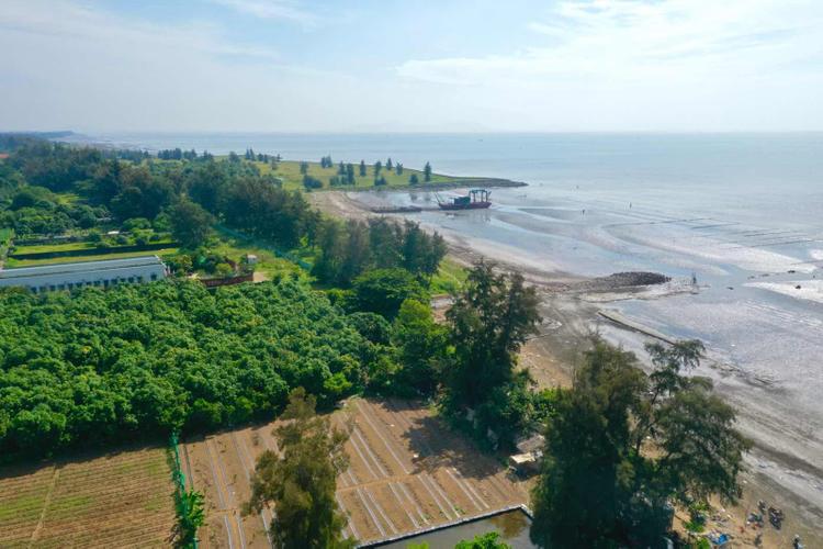 Ảnh Khải Hoàn Prime – Điểm Sáng Đầu Tư Khu Nam TP.HCM Quý 4/2025