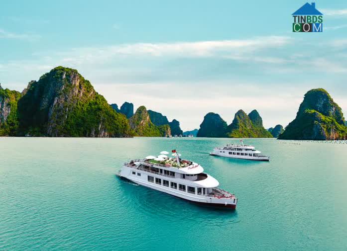 Ảnh Vân Đồn Hứa Hẹn Là Điểm Đến Hàng Đầu Của Làn Sóng Dịch Chuyển Du Lịch