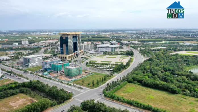 Ảnh Đất Nền Bình Dương: Nổi Sóng Nhẹ Cuối Năm 2024