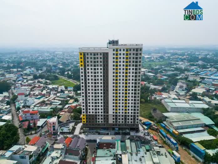 Ảnh Các Thị Trường Vệ Tinh Phía Nam Rầm Rộ Đón Nguồn Cung Mới