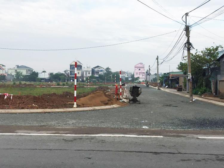 Ảnh Đất Nền Cần Giờ Tăng Giá Mạnh