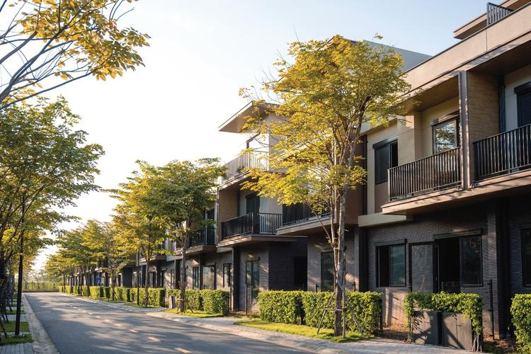 Ảnh Tổ Ấm Izumi City: Nốt Nhạc Tinh Tế Giữa Bản Giao Hưởng Kinh Tế Vùng Sôi Động