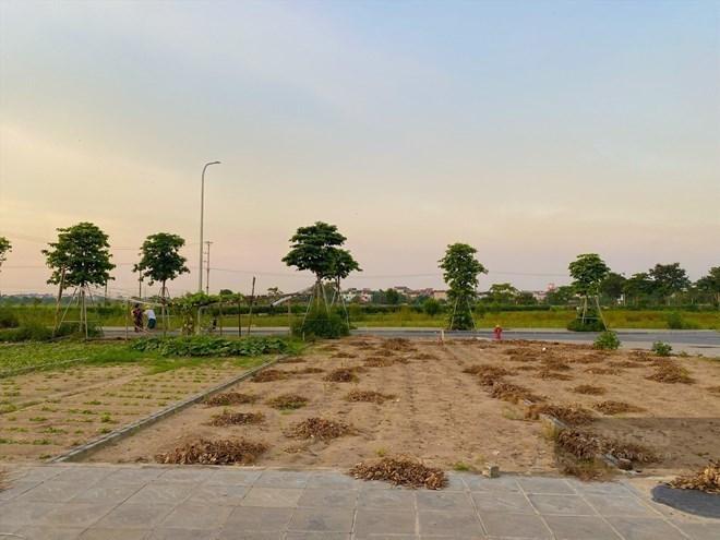 Ảnh Đất Nền Đan Phượng – Giá Đi Ngang Dù Lực Đẩy Mới Xuất Hiện