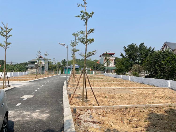 Ảnh Đất Nền Hòa Lạc Gợn Sóng, Sức Mua Túc Tắc, Không Tăng Mạnh
