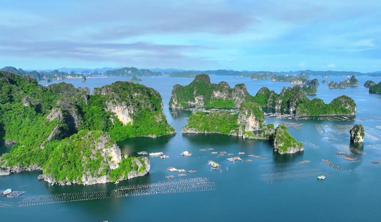 Ảnh Vân Đồn Hứa Hẹn Là Điểm Đến Hàng Đầu Của Làn Sóng Dịch Chuyển Du Lịch