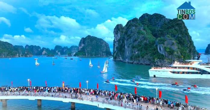 Ảnh Crystal Holidays Harbour Vân Đồn – Dẫn Sóng Đầu Tư Bất Động Sản Nghỉ Dưỡng Phía Bắc