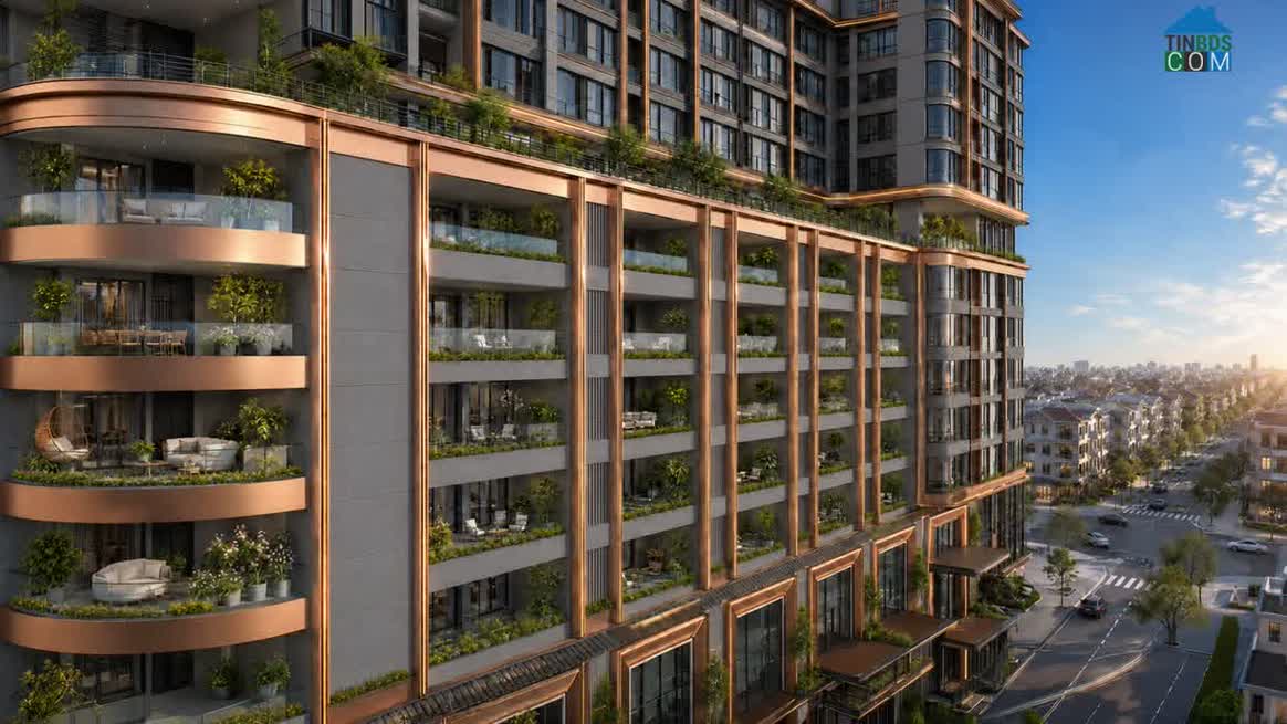 Ảnh Mức Giá Chào Sân Của The Collection 688: Thêm Lựa Chọn Cho Người Mua Nhà Tại Đông Bắc TP.HCM