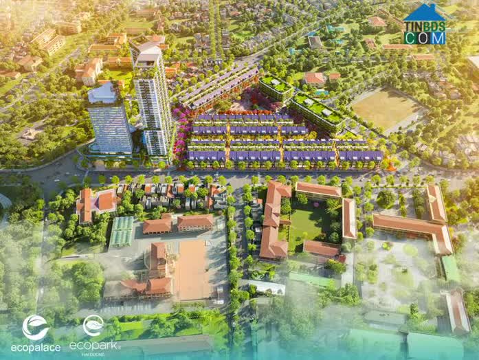 Ảnh Đắk Lắk: Vùng Đất Mới Cho Tích Sản Dài Hạn?