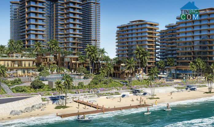 Ảnh Sunshine Bay Retreat: Thiên Đường Nghỉ Dưỡng Sôi Động Bên Bờ Đại Dương