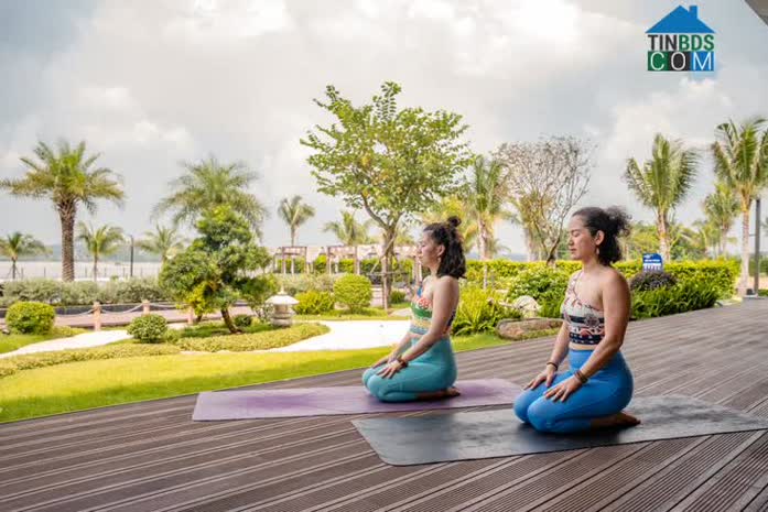 Ảnh Tổ Ấm Izumi City: Nốt Nhạc Tinh Tế Giữa Bản Giao Hưởng Kinh Tế Vùng Sôi Động