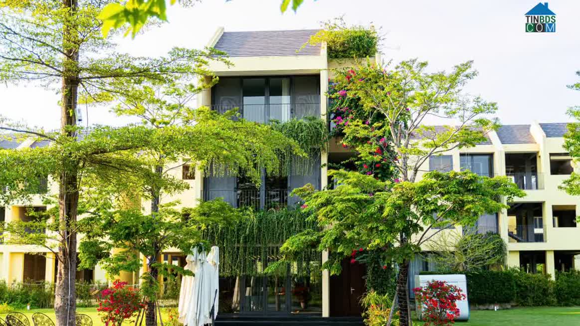 Ảnh An Toàn Tài Chính Trong Thời AI: Giá Trị Của Bất Động Sản Khai Thác Dòng Tiền