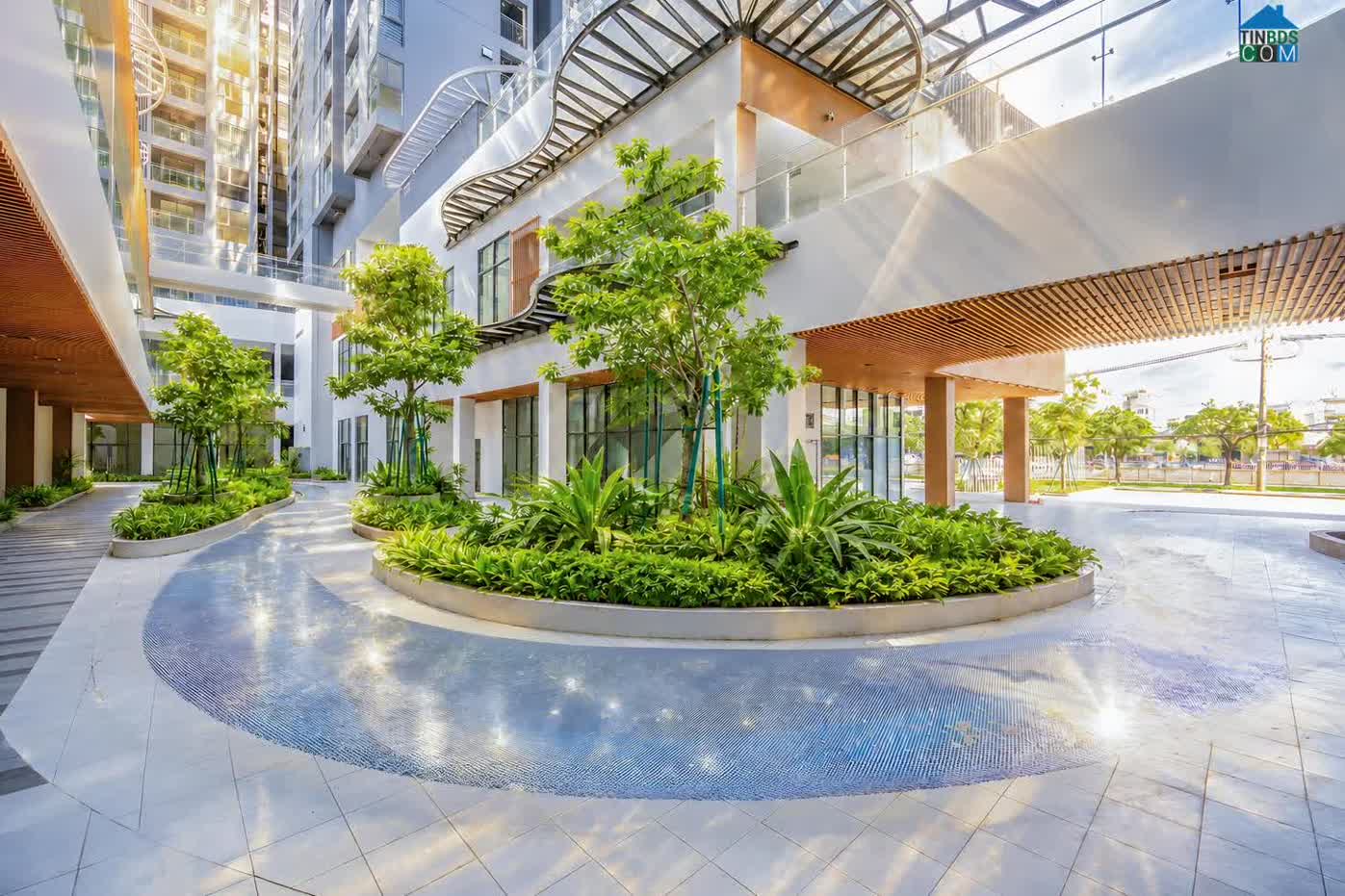 Ảnh D-Aqua Sau Bàn Giao: Giá Trị BĐS Được Kiểm Chứng Từ Dòng Tiền Và Cộng Đồng Cư Dân