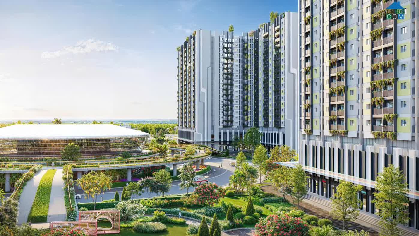 Ảnh Fhome - Hành Trình Đưa “Tình Xóm” Trở Về Giữa Phố