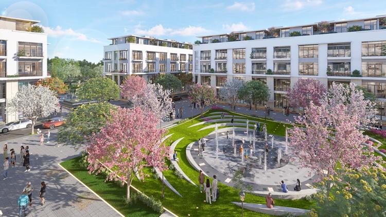 Ảnh Dòng Tiền Dịch Chuyển Về Phân Khúc Shophouse Thấp Tầng Tại Thường Tín