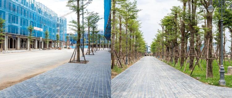 Ảnh Dự Án Hàng Hiệu Noble Palace Tay Thang Long Tăng Tốc Triển Khai, Sẵn Sàng Bàn Giao Từ Quý 3/2025