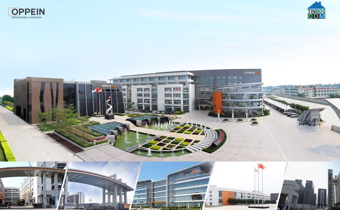 Ảnh OPPEIN - Thương Hiệu Nội Thất Số 1 Toàn Cầu Năm 2025 Theo Frost & Sullivan