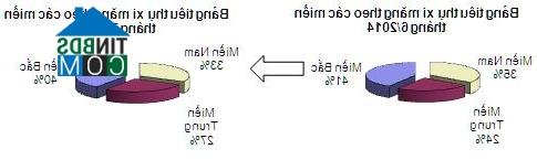 Chi tiết tỉ lệ tiêu thụ xi măng giữa các vùng miền.