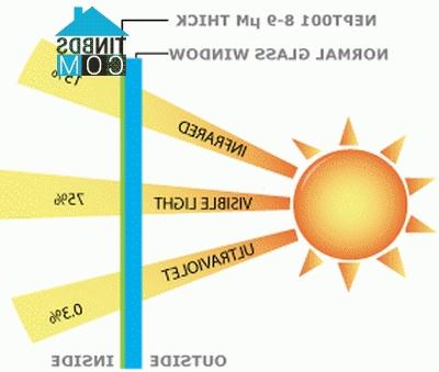 Ảnh 3 sáng kiến mới “công nghệ xanh” áp dụng trong thiết kế và xây dựng